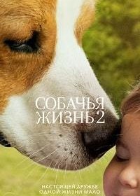 Собачья жизнь 2 (2019) BDRip  | iTunes