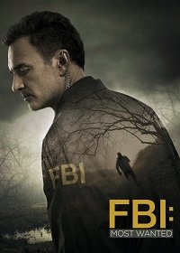 ФБР: Самые разыскиваемые преступники (1 сезон: 1-14 серии из 14) (2019) WEBRip 720p | Octopus